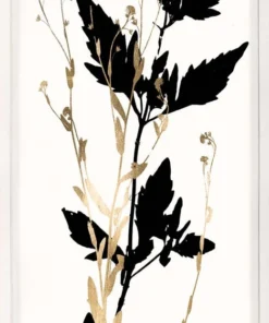 Natural Curiosities Black And White Herbarium 3 Framed Artwork New Arrivals