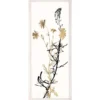 Natural Curiosities New Arrivals Black And White Herbarium 4 Framed Artwork