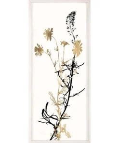 Natural Curiosities New Arrivals Black And White Herbarium 4 Framed Artwork