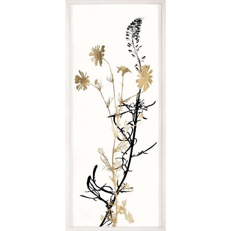 Natural Curiosities New Arrivals Black And White Herbarium 4 Framed Artwork 1 Natural Curiosities New Arrivals Black And White Herbarium 4 Framed Artwork