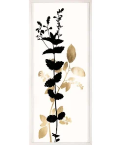 Natural Curiosities Black And White Herbarium 1 Framed Artwork New Arrivals