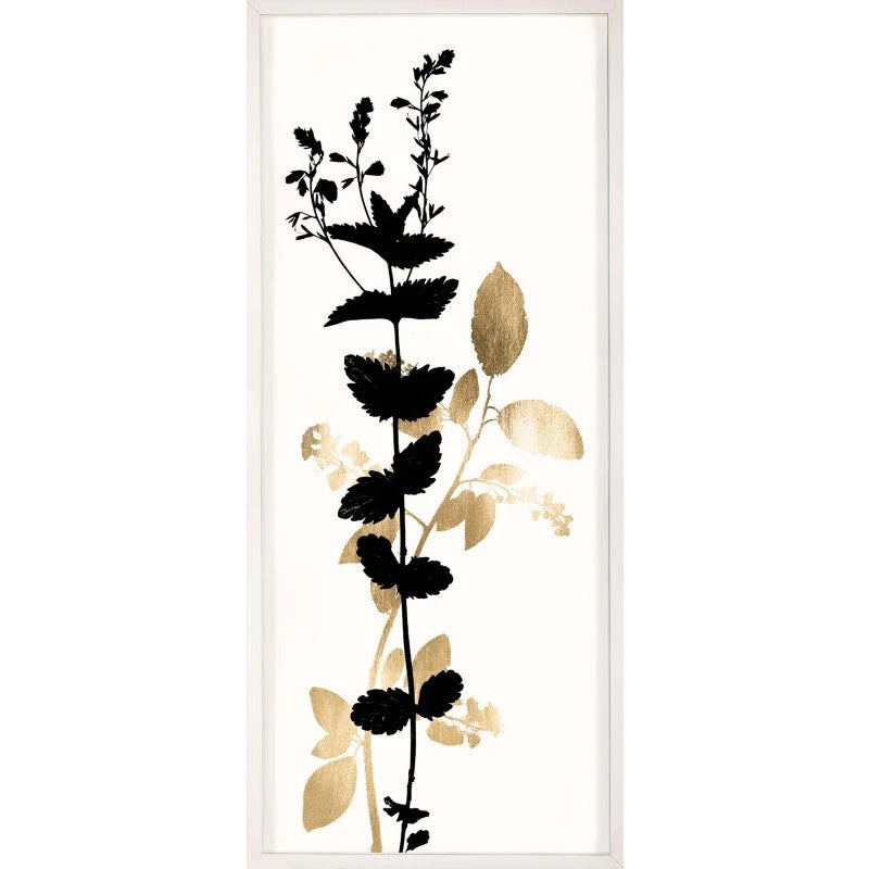 Natural Curiosities Black And White Herbarium 1 Framed Artwork New Arrivals 1 Natural Curiosities Black And White Herbarium 1 Framed Artwork New Arrivals