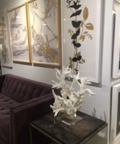 Natural Curiosities Black And White Herbarium 1 Framed Artwork New Arrivals 5 Natural Curiosities Black And White Herbarium 1 Framed Artwork New Arrivals