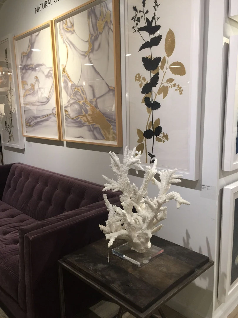 Natural Curiosities Black And White Herbarium 1 Framed Artwork New Arrivals 3 Natural Curiosities Black And White Herbarium 1 Framed Artwork New Arrivals