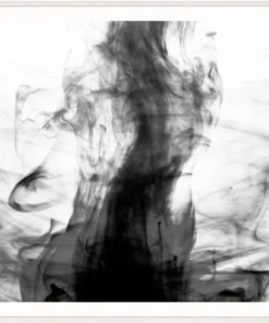 Natural Curiosities Black And White Ink Framed Artwork New Arrivals