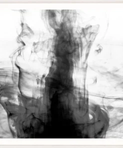 Natural Curiosities Black And White Ink Framed Artwork New Arrivals