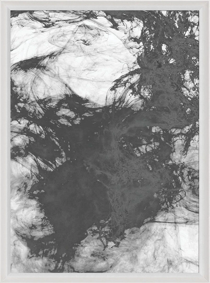 Natural Curiosities Black And White Ink And Water Framed Artwork No. 6 New Arrivals 1 Natural Curiosities Black And White Ink And Water Framed Artwork No. 6 New Arrivals