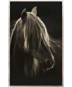 Natural Curiosities Caballus Framed Artwork