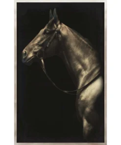 Natural Curiosities Caballus Framed Artwork