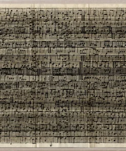 Natural Curiosities Cacophony Framed Artwork New Arrivals