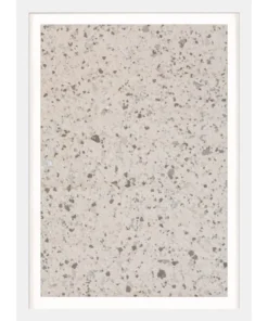 Natural Curiosities Calm State 2 Framed Artwork New Arrivals