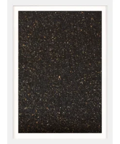 Natural Curiosities Calm State 3 Framed Artwork New Arrivals