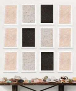 Natural Curiosities Calm State 2 Framed Artwork New Arrivals