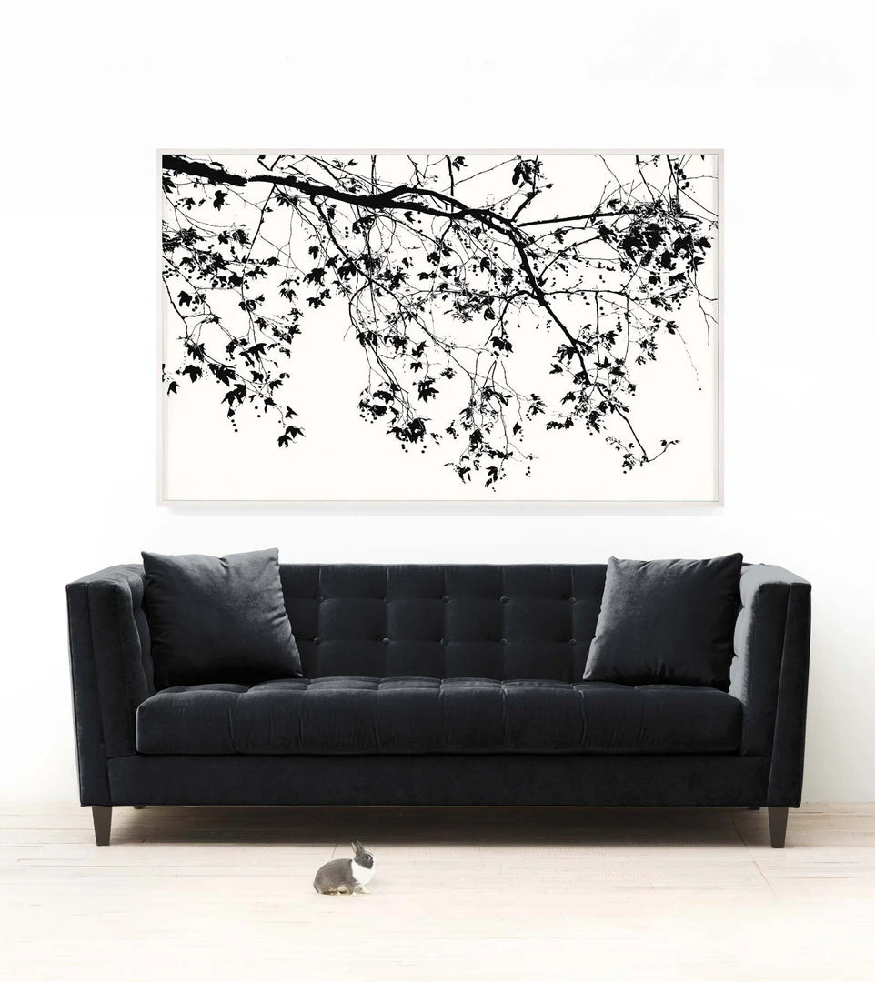 Natural Curiosities Elysian Tree Study Framed Artwork New Arrivals 2 Natural Curiosities Elysian Tree Study Framed Artwork New Arrivals