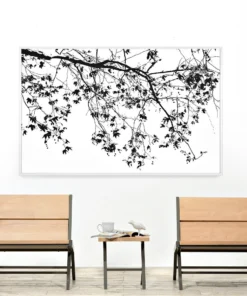 Natural Curiosities Elysian Tree Study Framed Artwork New Arrivals 5 Natural Curiosities Elysian Tree Study Framed Artwork New Arrivals