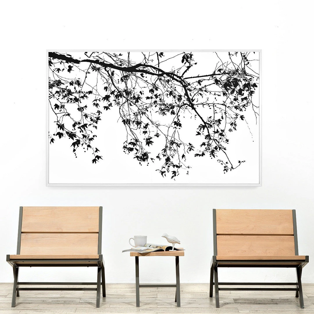 Natural Curiosities Elysian Tree Study Framed Artwork New Arrivals 3 Natural Curiosities Elysian Tree Study Framed Artwork New Arrivals