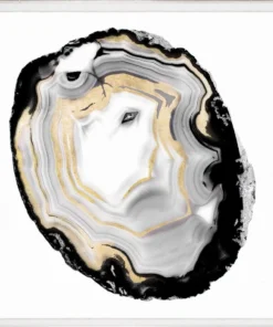 Natural Curiosities New Arrivals Black And White Geode 3 Framed Artwork