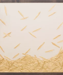 Natural Curiosities Golden Feathers Framed Artwork