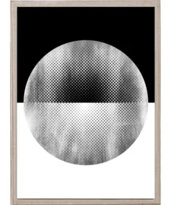 Natural Curiosities Halftone Circles Silver Framed Artwork New Arrivals