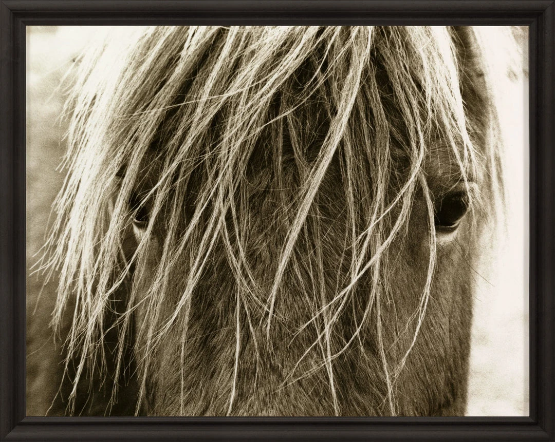 Natural Curiosities New Arrivals Hyden Horses Blonde Framed Artwork 1 Natural Curiosities New Arrivals Hyden Horses Blonde Framed Artwork