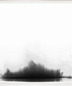 Natural Curiosities Ink And Water Pair Framed Artwork New Arrivals