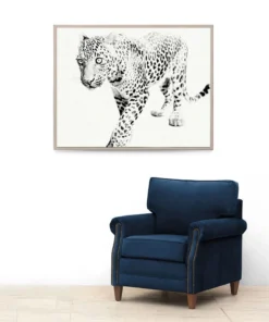Natural Curiosities New Arrivals Tylinek Leopard Framed Artwork
