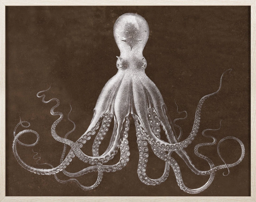 Natural Curiosities New Arrivals Lord Bodner In Brown Framed Artwork 1 Natural Curiosities New Arrivals Lord Bodner In Brown Framed Artwork