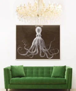 Natural Curiosities New Arrivals Lord Bodner In Brown Framed Artwork