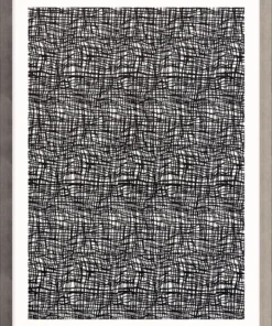 Natural Curiosities Opposites 1 New Arrivals