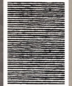 Natural Curiosities New Arrivals Opposites 2