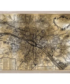 Natural Curiosities Gold City Map Artwork - Paris