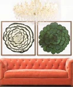 Natural Curiosities Queen Victoria Feathers 2 Framed Artwork