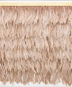 Natural Curiosities Rose Feathers Framed Artwork