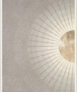 Natural Curiosities Solaris 1 Framed Artwork New Arrivals