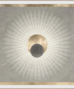 Natural Curiosities Solaris 4 Framed Artwork