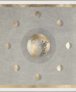 Natural Curiosities New Arrivals Solaris 5 Framed Artwork