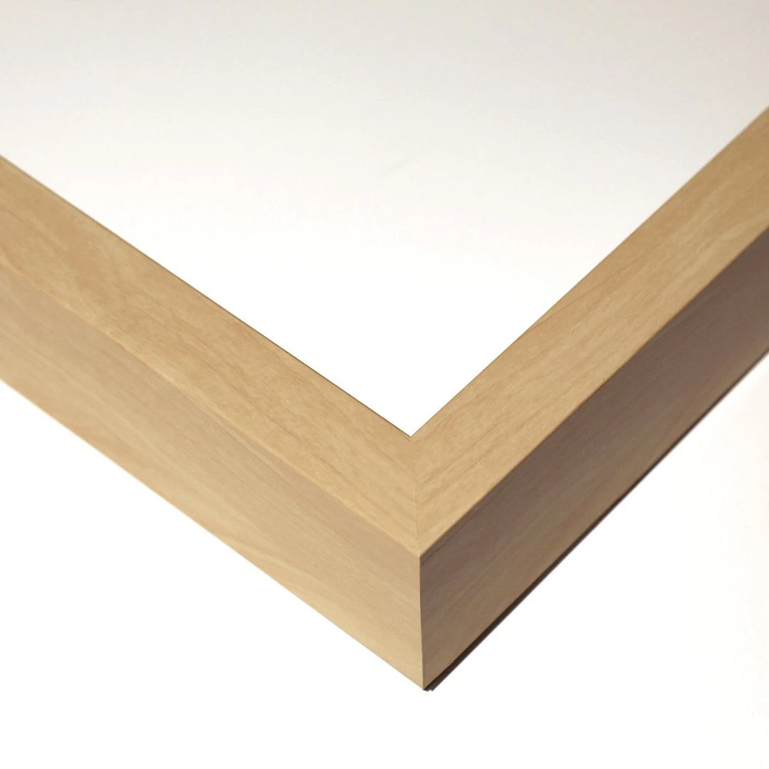 Natural Curiosities Tree Rings 1 3 Natural Curiosities Tree Rings 1