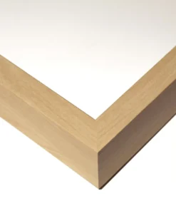 Natural Curiosities New Arrivals Tree Rings 2