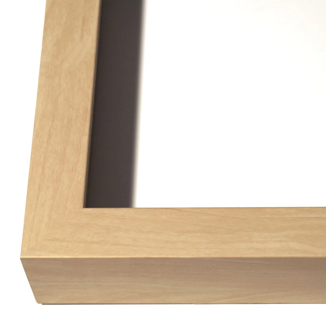 Natural Curiosities Tree Rings 1 4 Natural Curiosities Tree Rings 1