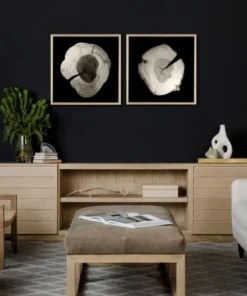 Natural Curiosities Tree Rings 1