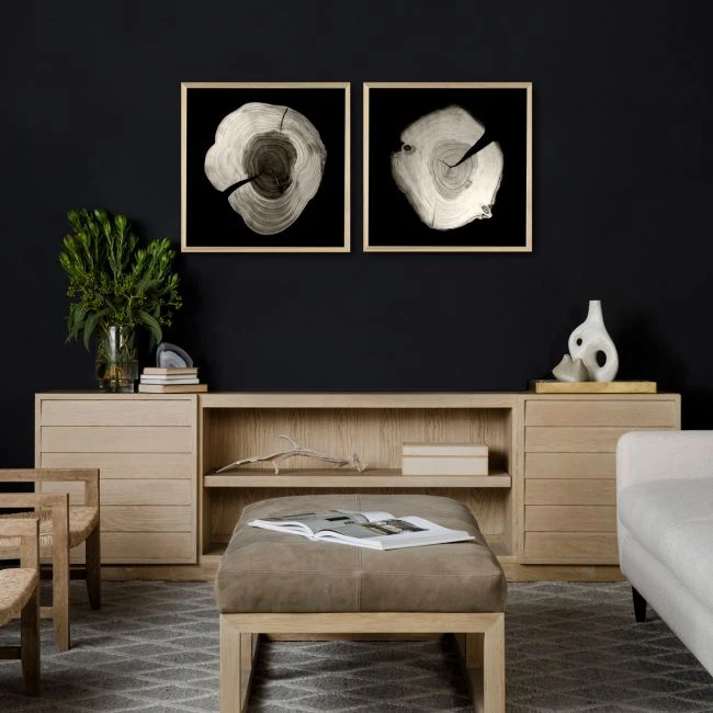 Natural Curiosities Tree Rings 1 2 Natural Curiosities Tree Rings 1