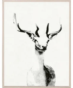 Natural Curiosities New Arrivals Tylinek Deer Framed Artwork