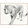 Natural Curiosities New Arrivals Tylinek Leopard Framed Artwork