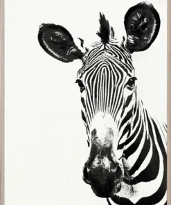 Natural Curiosities Tylinek Zebra Framed Artwork New Arrivals