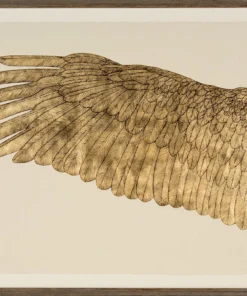 Natural Curiosities Wings Of Love Gold Left Framed Artwork New Arrivals