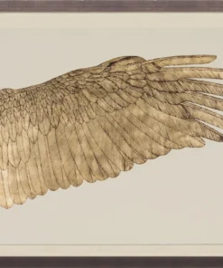 Natural Curiosities Wings Of Love Gold Right Framed Artwork