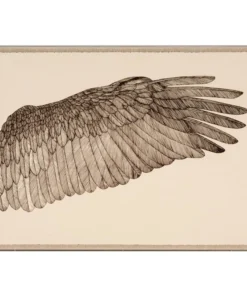 Natural Curiosities Wings Of Love Right Framed Artwork