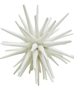 Oly Studio New Arrivals Sea Urchin