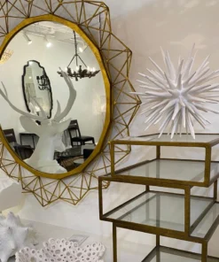 Oly Studio New Arrivals Sea Urchin