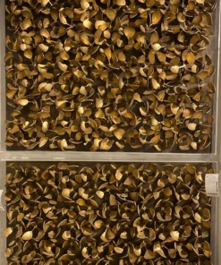 Palecek Adrift Coco Wall Decor Antique Gold